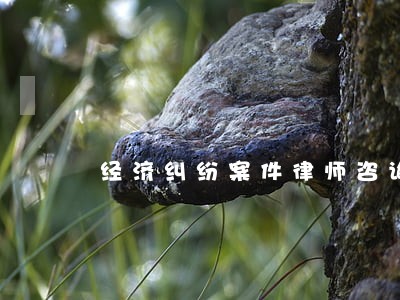 经济纠纷案件律师咨询