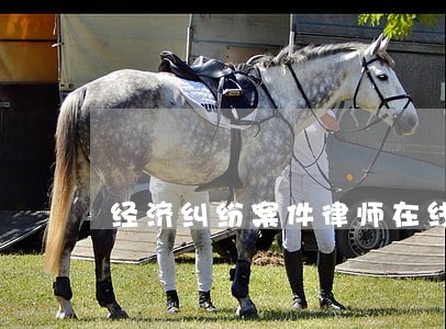 经济纠纷案件律师在线咨询 经济纠纷案件律师在线咨询