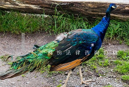 经济纠纷法律咨询价格 经济纠纷法律咨询价格