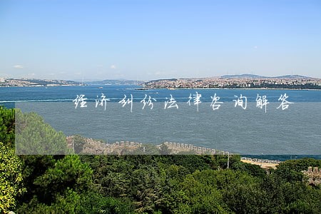经济纠纷法律咨询解答 经济纠纷法律咨询解答