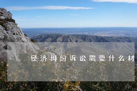 经济纠纷诉讼需要什么材料 经济纠纷诉讼需要什么材料