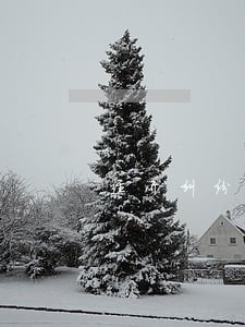经济纠纷调解还款逾期赔偿 经济纠纷调解还款逾期赔偿