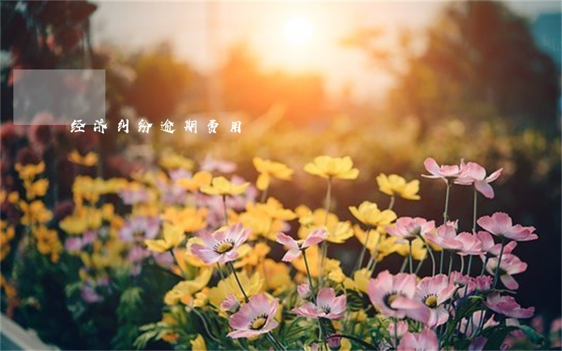 经济纠纷逾期费用 经济纠纷逾期费用