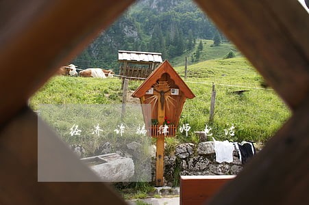 经济诈骗律师电话 经济诈骗律师电话