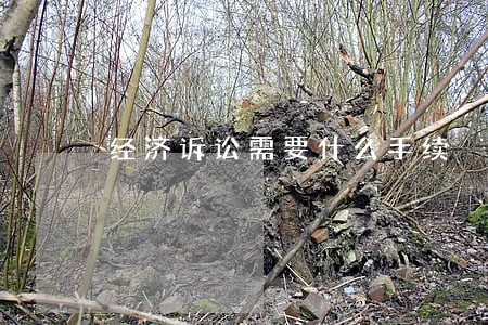 经济诉讼需要什么手续 经济诉讼需要什么手续
