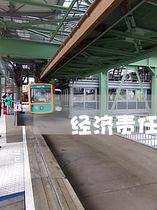 经济责任审计诉讼案件 经济责任审计诉讼案件