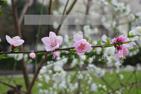 经济适用房按揭款逾期 经济适用房按揭款逾期
