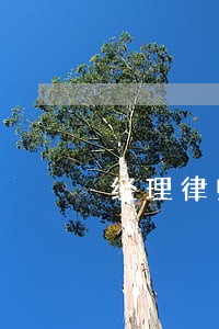 经理律师咨询 经理律师咨询
