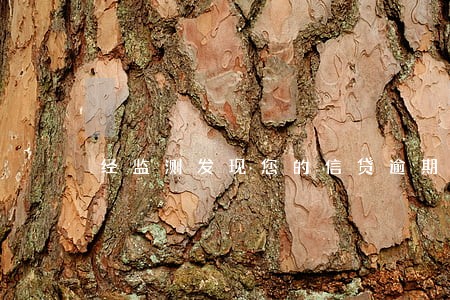 经监测发现您的信贷逾期 经监测发现您的信贷逾期