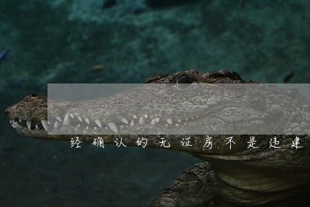 经确认的无证房不是违建 经确认的无证房不是违建