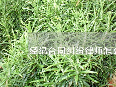 经纪合同纠纷律师怎么选择 经纪合同纠纷律师怎么选择