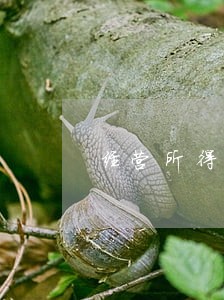 经营所得税逾期怎么申报 经营所得税逾期怎么申报