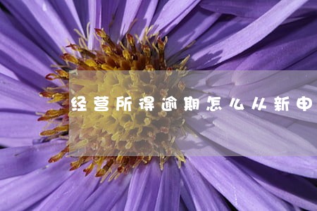 经营所得逾期怎么从新申报 经营所得逾期怎么从新申报