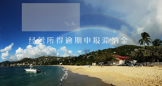 经营所得逾期申报滞纳金 经营所得逾期申报滞纳金