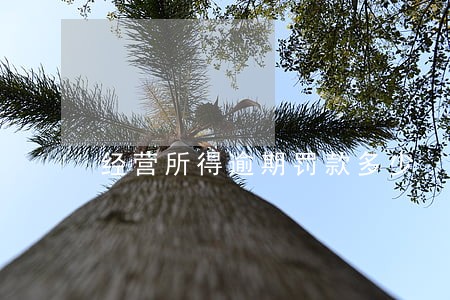 经营所得逾期罚款多少 经营所得逾期罚款多少