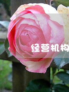 经营机构从业人员违反相关法律法规
