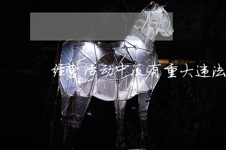 经营活动中没有重大违法记录 经营活动中没有重大违法记录