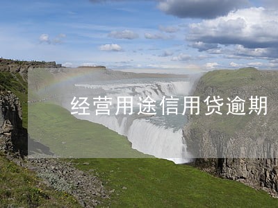 经营用途信用贷逾期 经营用途信用贷逾期