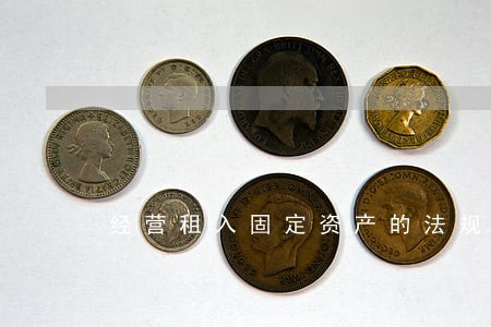 经营租入固定资产的法规条款 经营租入固定资产的法规条款