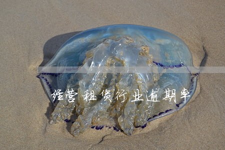 经营租赁行业逾期率 经营租赁行业逾期率