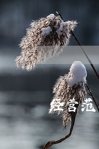 经营范围新增法律咨询 经营范围新增法律咨询