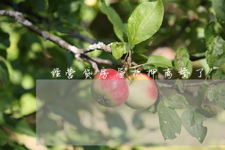 经营贷房屋抵押离婚了 经营贷房屋抵押离婚了
