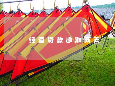 经营贷款逾期两天 经营贷款逾期两天