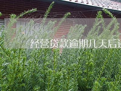 经营贷款逾期几天后还清 经营贷款逾期几天后还清