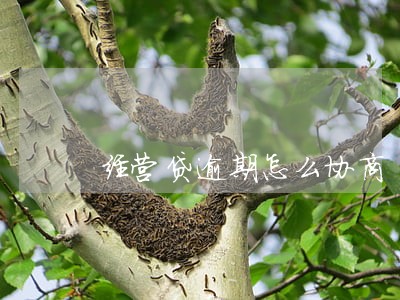 经营贷逾期怎么协商 经营贷逾期怎么协商