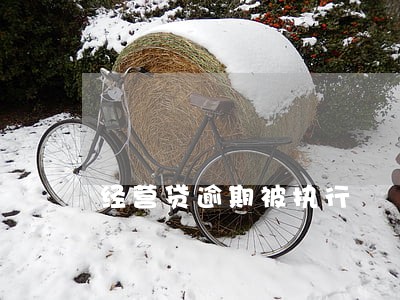 经营贷逾期被执行 经营贷逾期被执行