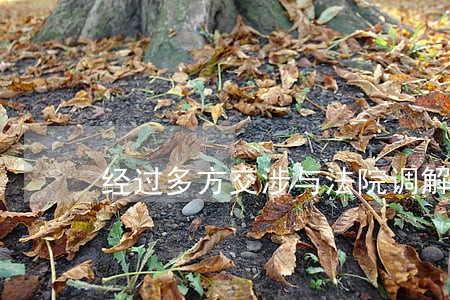 经过多方交涉与法院调解