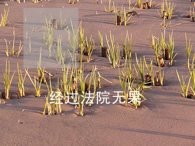 经过法院无果