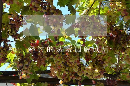 经过的法院调解以后 经过的法院调解以后