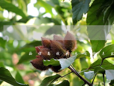 经销商致买车逾期怎么办 经销商致买车逾期怎么办