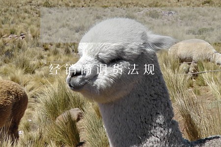 经销商退货法规 经销商退货法规