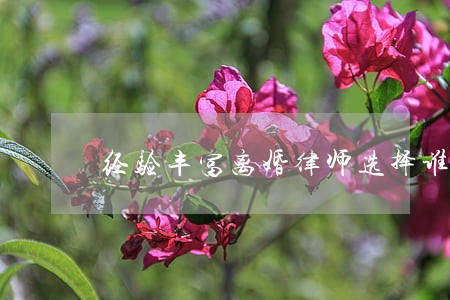 经验丰富离婚律师选择谁 经验丰富离婚律师选择谁