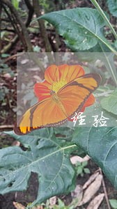 经验分享如何应对小贷网贷的逾期 经验分享如何应对小贷网贷的逾期