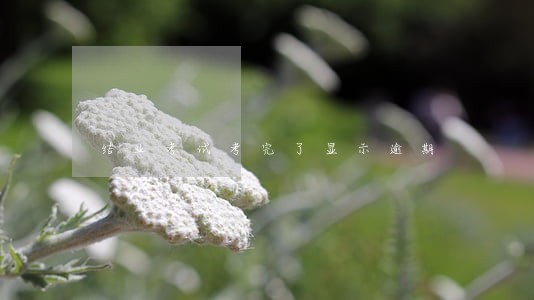 结业考试考完了显示逾期 结业考试考完了显示逾期