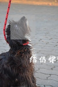 结信律师 结信律师