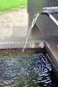 结婚10年丈夫坚决离婚 结婚10年丈夫坚决离婚