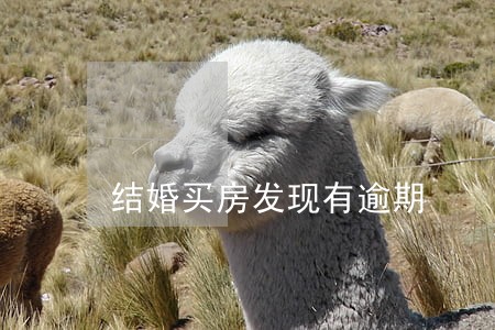 结婚买房发现有逾期 结婚买房发现有逾期