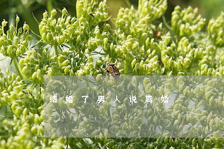 结婚了男人说离婚