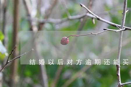 结婚以后对方逾期还能买车嘛 结婚以后对方逾期还能买车嘛
