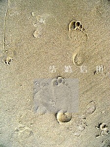 结婚信用卡逾期会不会通知老公 结婚信用卡逾期会不会通知老公