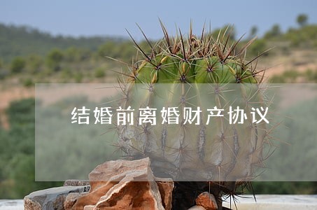 结婚前离婚财产协议 结婚前离婚财产协议
