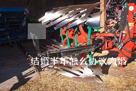 结婚半年怎么协议离婚 结婚半年怎么协议离婚