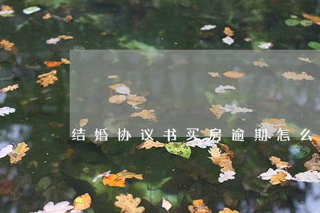 结婚协议书买房逾期怎么办 结婚协议书买房逾期怎么办