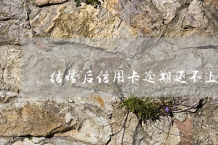 结婚后信用卡逾期还不上老婆
