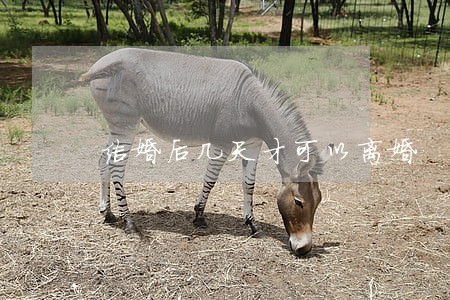 结婚后几天才可以离婚 结婚后几天才可以离婚