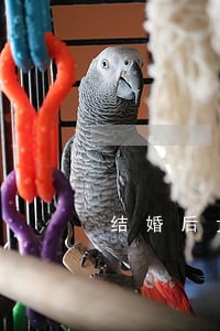 结婚后女方一直未上班离婚 结婚后女方一直未上班离婚